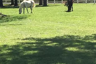 11215 Idlewild Rd, Matthews, NC 28105 - Photo 48