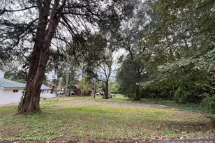 171 N Mitchell St, Rutherfordton, NC 28139 - Photo 8