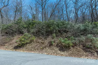 23 Winding Poplar Road #912, Black Mountain, NC 28711 - Photo 6