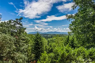 206 Summershade Ct, Asheville, NC 28806 - Photo 44