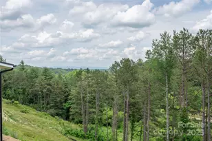 237 Westridge Farm Rd, Asheville, NC 28804 - Photo 8