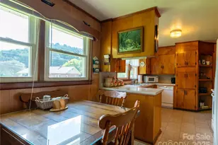 40 Double Island Rd, Burnsville, NC 28714 - Photo 20