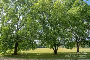 312 Lister Rd, Landrum, SC 29356 - Photo 38