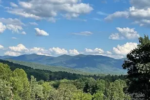 31 Mark Twain Rd, Asheville, NC 28805 - Photo 40