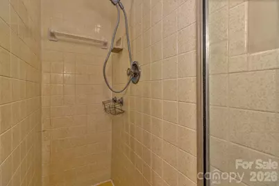 31 Mark Twain Road, Asheville, NC 28805 - Photo 38