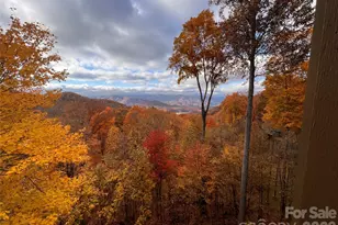 755 Andrew Banks Rd, Burnsville, NC 28714 - Photo 42