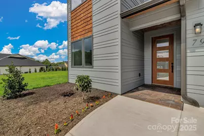 79 Scott Meadows Drive, Asheville, NC 28806 - Photo 6