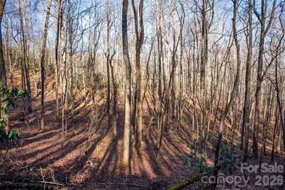 370 Moons Rest Lane, Brevard, NC 28712 - Photo 30