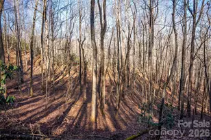 370 Moon's Rst Ln, Brevard, NC 28712 - Photo 30