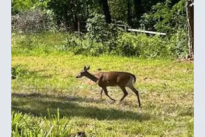 338 Espen Ridge, Asheville, NC 28804 - Photo 46