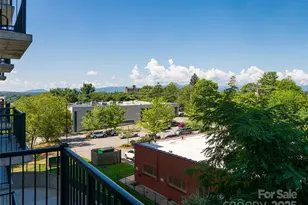 45 Asheland Ave, Asheville, NC 28801 - Photo 22