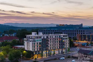 45 Asheland Ave, Asheville, NC 28801 - Photo 32