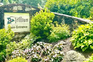 56 First Tee Trail, Cashiers, NC 28717 - Photo 26