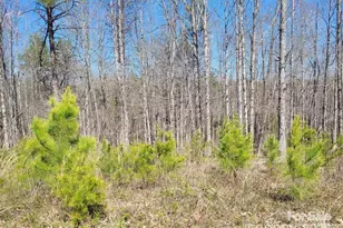 0 Boy Scout Rd, Rutherfordton, NC 28139 - Photo 10