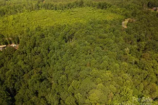 0 Boy Scout Rd, Rutherfordton, NC 28139 - Photo 4