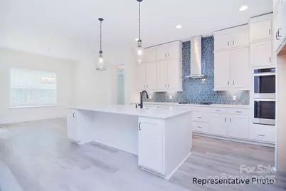 116 Davidson Springs Drive, Mooresville, NC 28115 - Photo 6