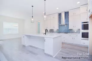 116 Davidson Springs Dr, Mooresville, NC 28115 - Photo 6