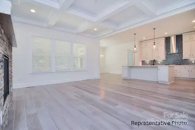 116 Davidson Springs Drive, Mooresville, NC 28115 - Photo 8