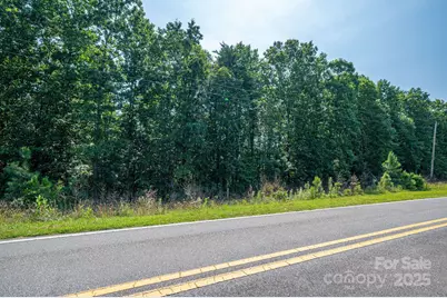 0 Boy Scout Road, Rutherfordton, NC 28139 - Photo 12