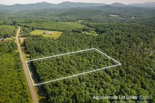 0 Boy Scout Rd, Rutherfordton, NC 28139 - Photo 2