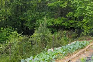 6 Sunrise Valley, Leicester, NC 28748 - Photo 44