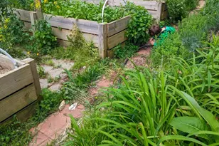 6 Sunrise Valley, Leicester, NC 28748 - Photo 46