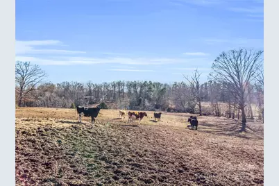 126 Waters Road, Bostic, NC 28018 - Photo 26