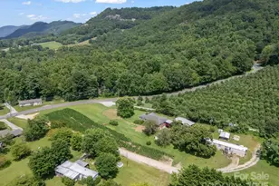 40 Country View Ln, Hendersonville, NC 28792 - Photo 46