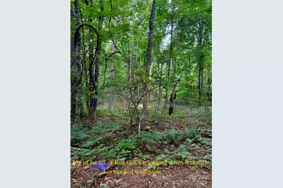 Tbd Wildwood Acres Drive #16,17,23, Burnsville, NC 28714 - Photo 4