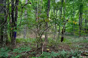 Tbd Wildwood Acres Dr, Burnsville, NC 28714 - Photo 4