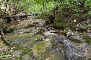 2401 Hundred Acres Ln, Lenoir, NC 28645 - Photo 42