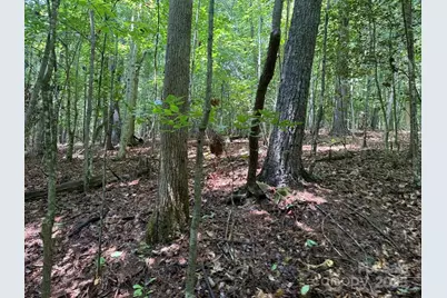 2401 Hundred Acres Lane, Lenoir, NC 28645 - Photo 40