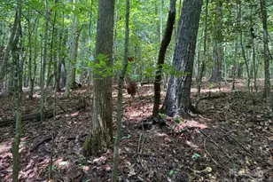 2401 Hundred Acres Ln, Lenoir, NC 28645 - Photo 40