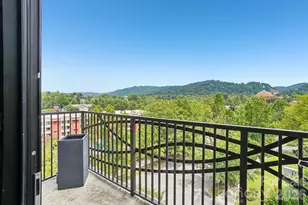 60 N Market St, Asheville, NC 28801 - Photo 28