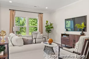 223 Tillery Ln, Mount Gilead, NC 27306 - Photo 8