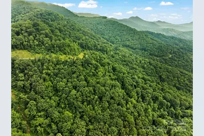 9999 Blue Ridge View Drive, Canton, NC 28716 - Photo 10