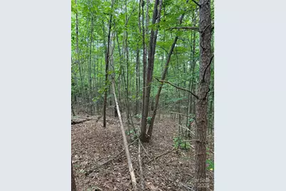 3994 Seitz Road, Morganton, NC 28655 - Photo 6