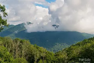 82 Gadohi Trail, Maggie Valley, NC 28751 - Photo 4