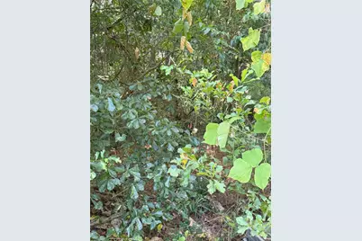 976 Peden Bridge Road, Chester, SC 29706 - Photo 34