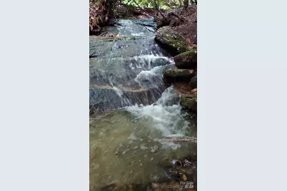 745 Broom Road, Tuckasegee, NC 28783 - Photo 4