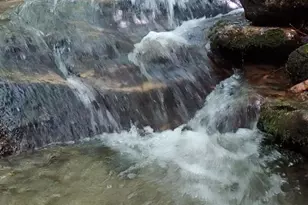 745 Broom Rd, Tuckasegee, NC 28783 - Photo 4