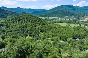 53 Hackberry Ln, Waynesville, NC 28785 - Photo 40