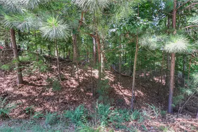 496 Kenway Loop, Mooresville, NC 28117 - Photo 4