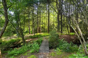 3541 Willow Creek Rd, Hendersonville, NC 28739 - Photo 6