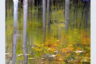 6005 Long Stirrup Lane, Mint Hill, NC 28227 - Photo 16