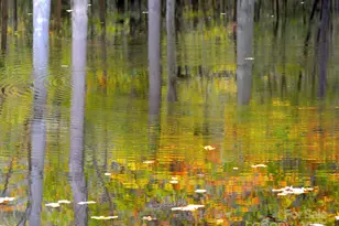 6005 Long Stirrup Ln, Mint Hill, NC 28227 - Photo 16