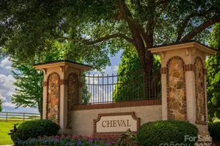 6005 Long Stirrup Ln, Mint Hill, NC 28227 - Photo 10