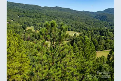 2026 Deep Gap Farm Road E, Mill Spring, NC 28756 - Photo 26