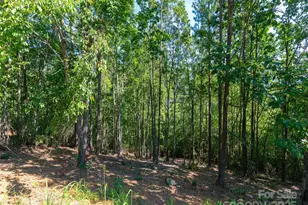 2026 Deep Gap Farm Rd E, Mill Spring, NC 28756 - Photo 24