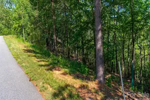 2026 Deep Gap Farm Rd E, Mill Spring, NC 28756 - Photo 22